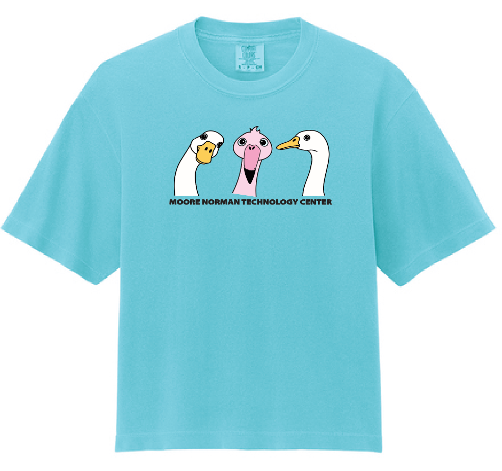 Summer Program Hot Drop "Flamingo" Design S/S Women's Boxy T-shirt (mint)